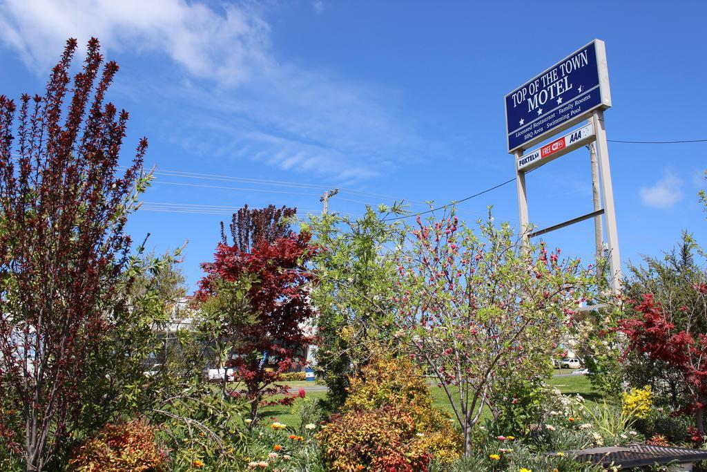 Motel Of The Town 3*